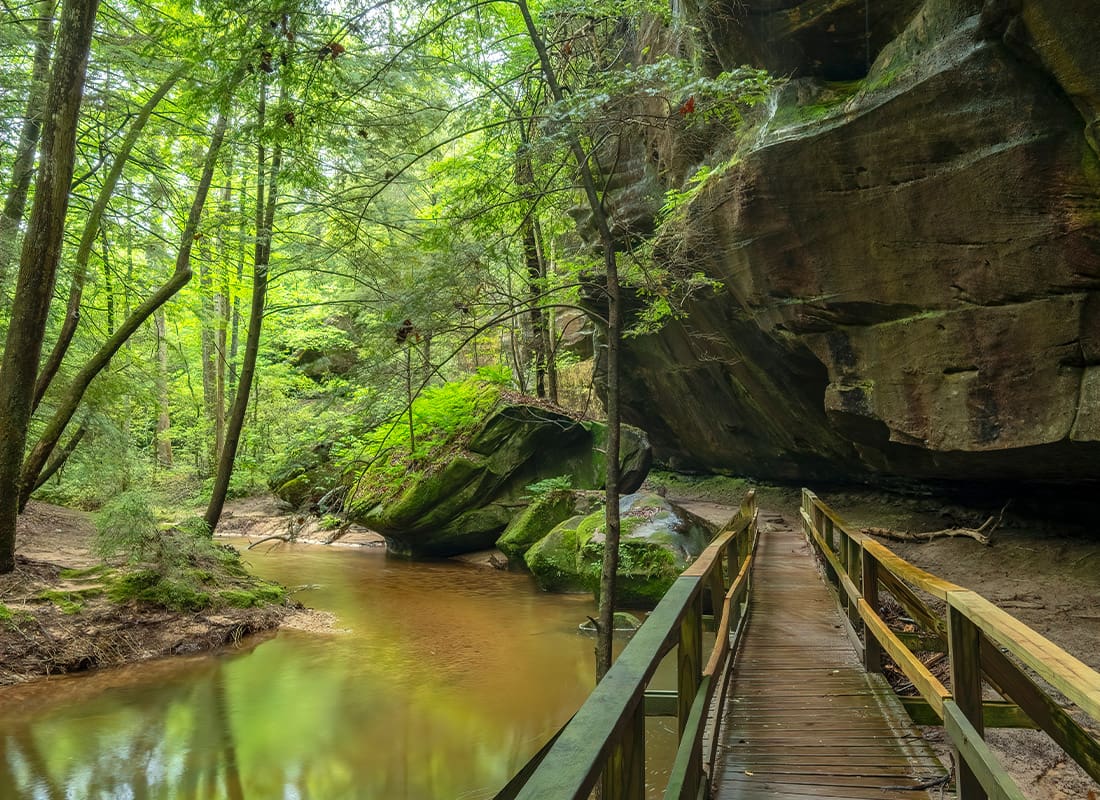 Russellville, AL Insurance - Trees, Rocks, and Water in Dismal's Canyon, Alabama